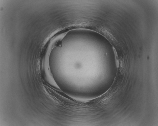 X0000062170684200512161252