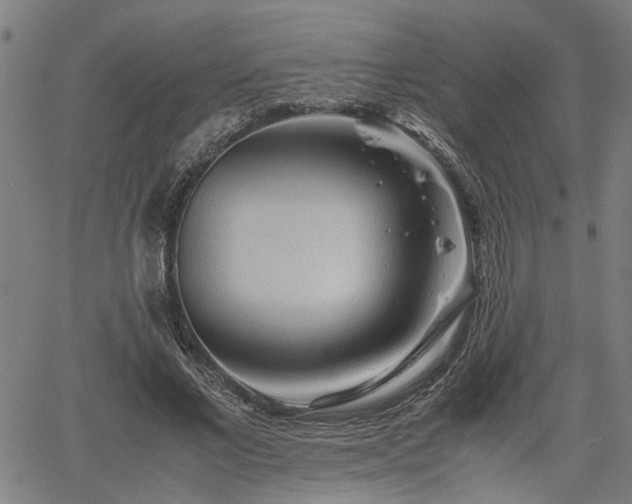 X0000062170685200512161251