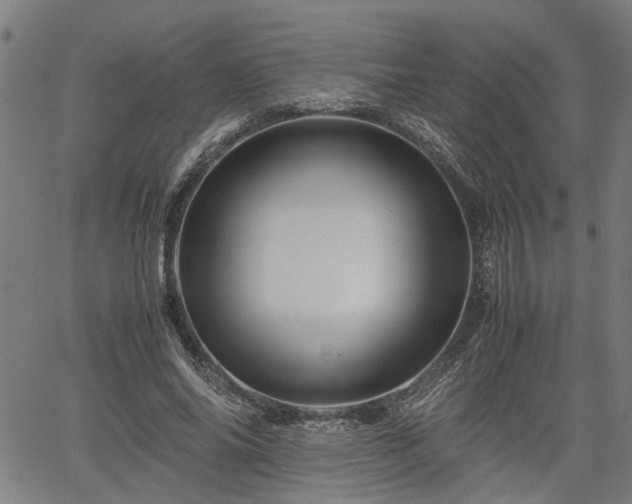 X0000062170686200512161251