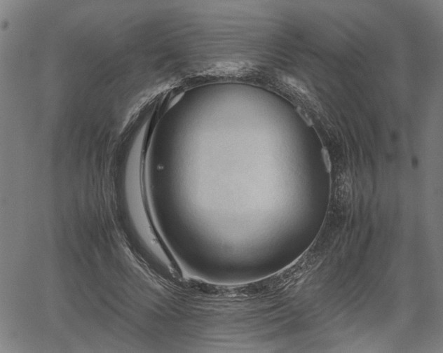 X0000062170688200512161251