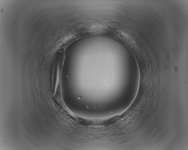 X0000062170689200512161251