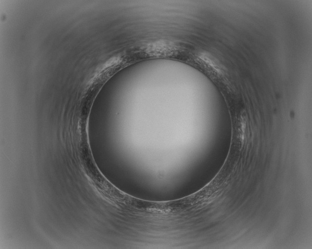 X0000062170690200512161251