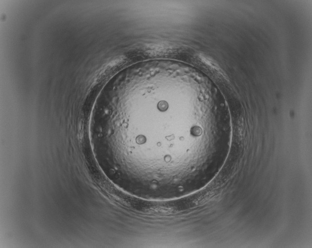 X0000062170691200512161251