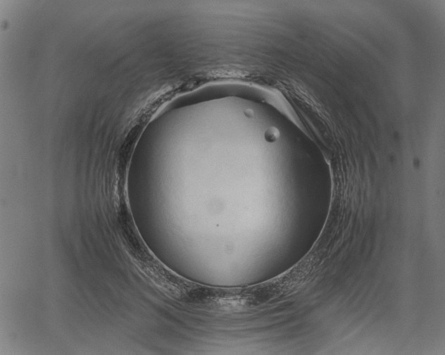 X0000062170692200512161251