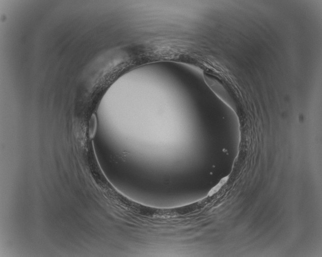 X0000062170693200512161251