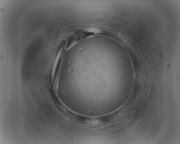 X0000062170695200512161251