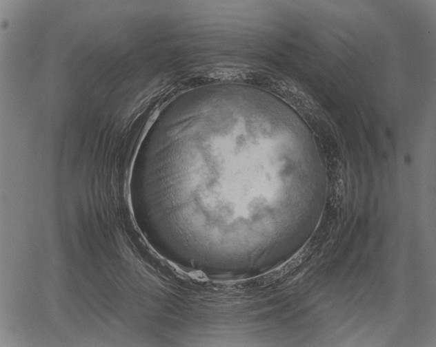 X0000062170696200512161251