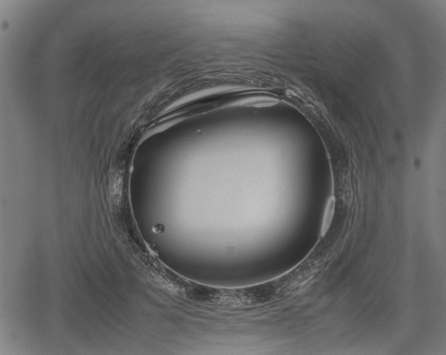 X0000062170697200512161251