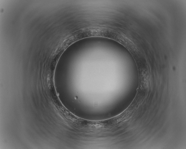 X0000062170698200512161251