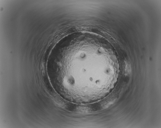 X0000062170699200512161251