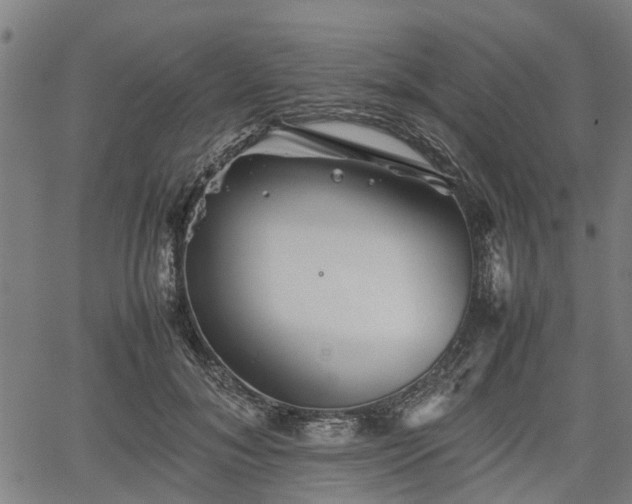 X0000062170700200512161251