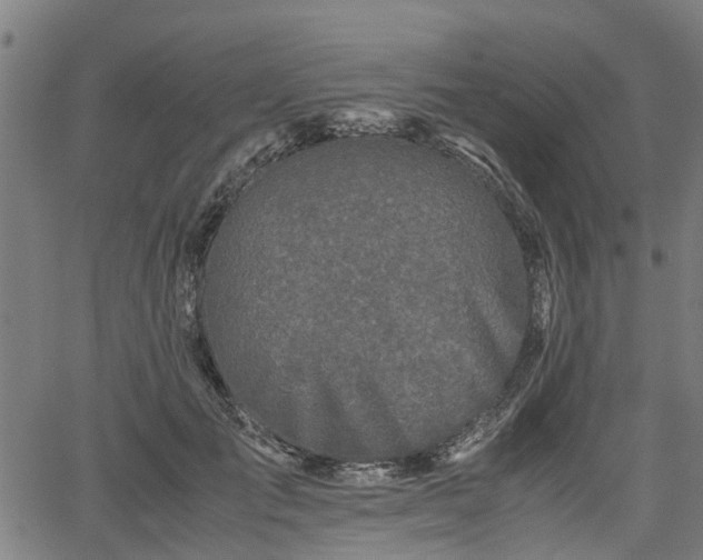 X0000062170701200512161251