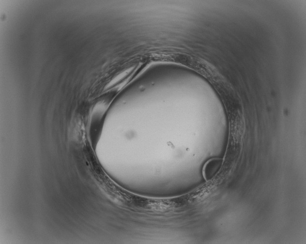 X0000062170703200512161251