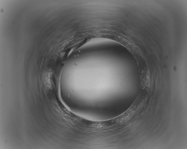 X0000062170704200512161251