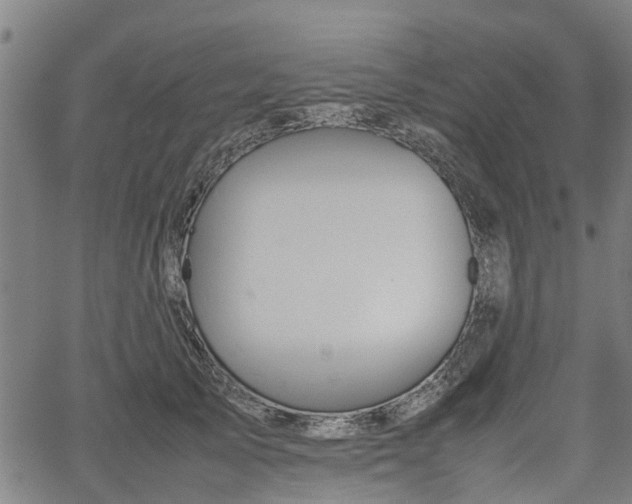 X0000062170705200512161251