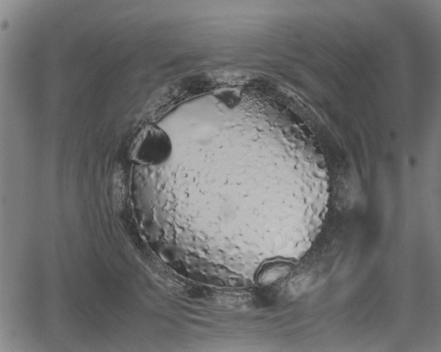 X0000062170707200512161251