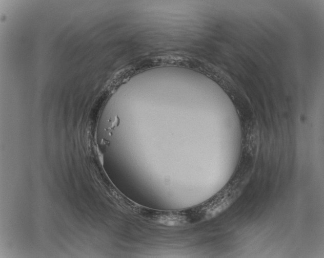 X0000062170708200512161251