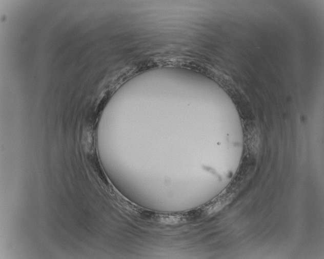 X0000062170709200512161251