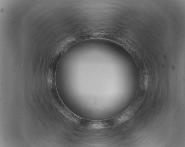 X0000062170710200512161251