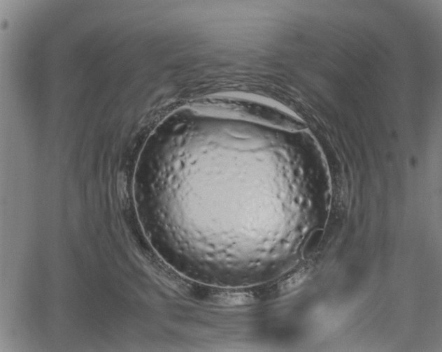 X0000062170711200512161251