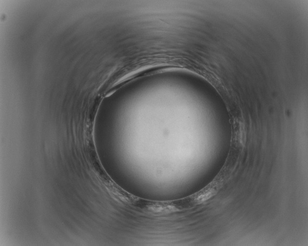 X0000062170712200512161251