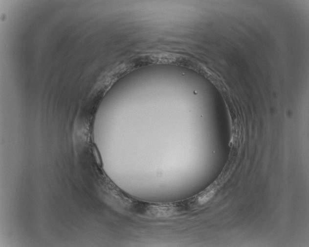 X0000062170713200512161251