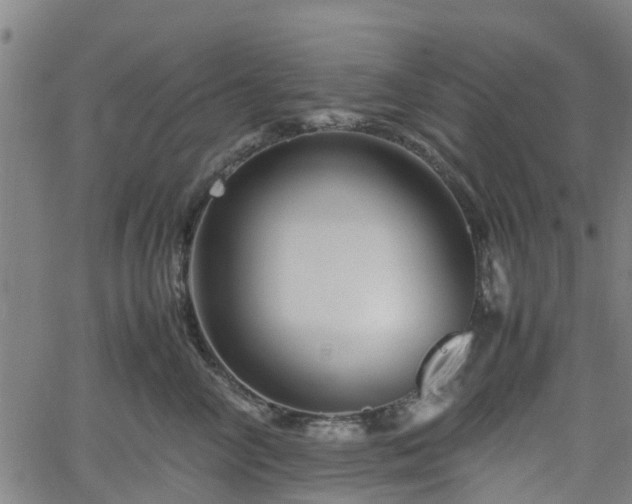 X0000062170714200512161251