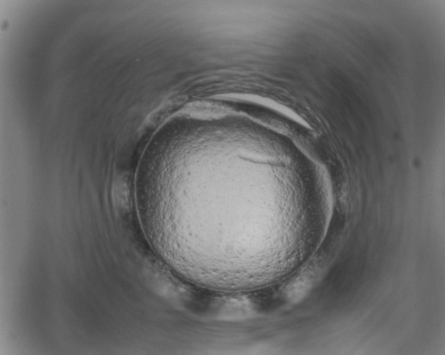 X0000062170715200512161251