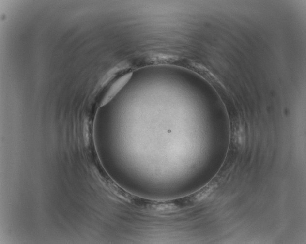 X0000062170716200512161251