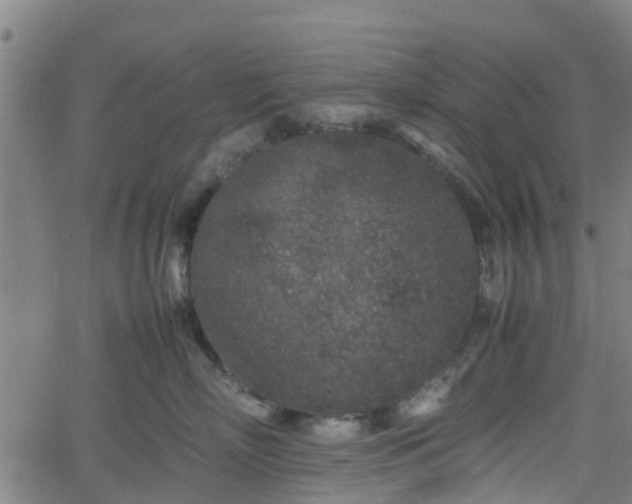 X0000062170718200512161251