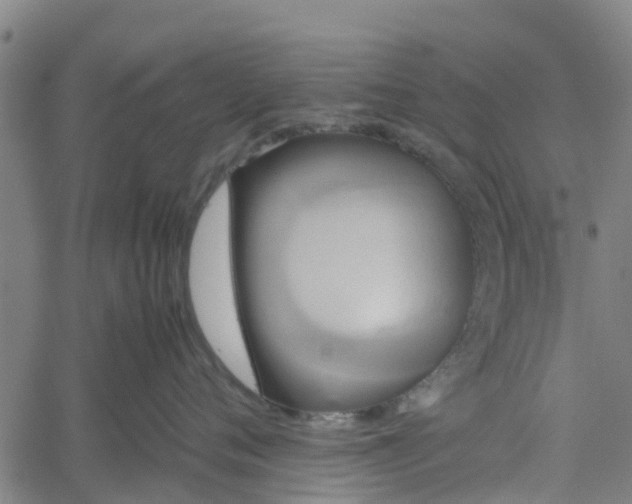 X0000062170720200512161251