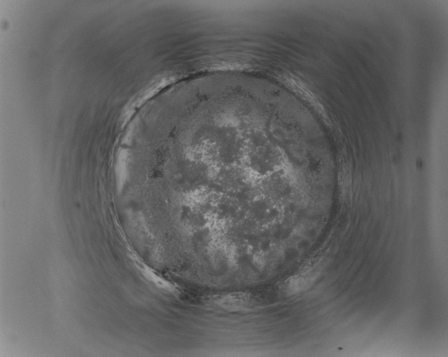 X0000062170721200512161250