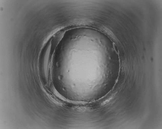 X0000062170722200512161250