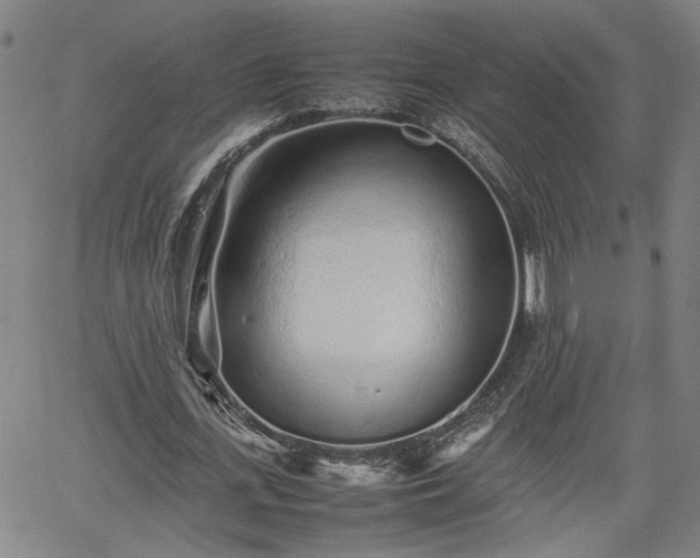 X0000062170723200512161250