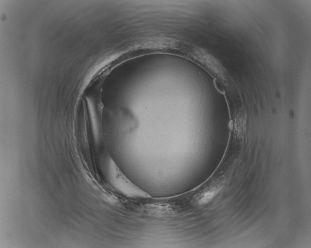 X0000062170724200512161250