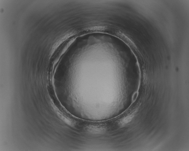 X0000062170725200512161250