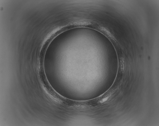 X0000062170726200512161250