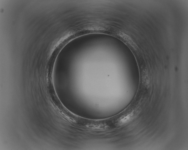 X0000062170727200512161250