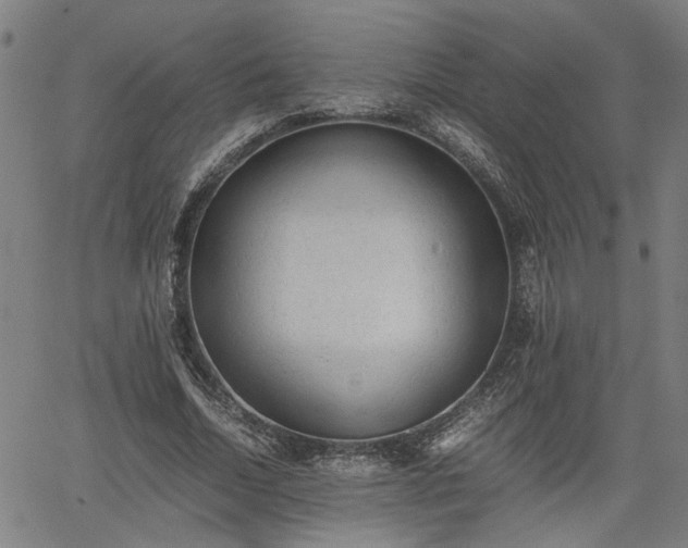 X0000062170730200512161250