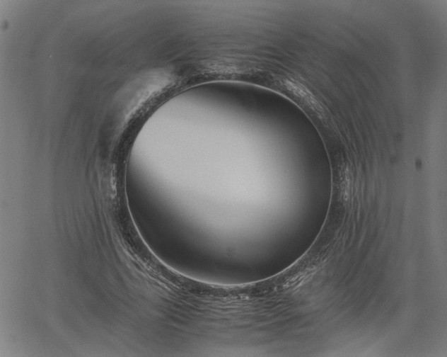 X0000062170731200512161250