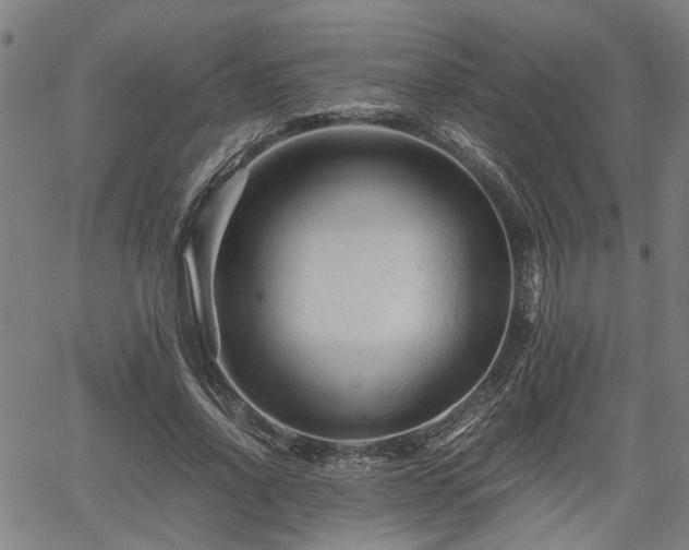 X0000062170734200512161250