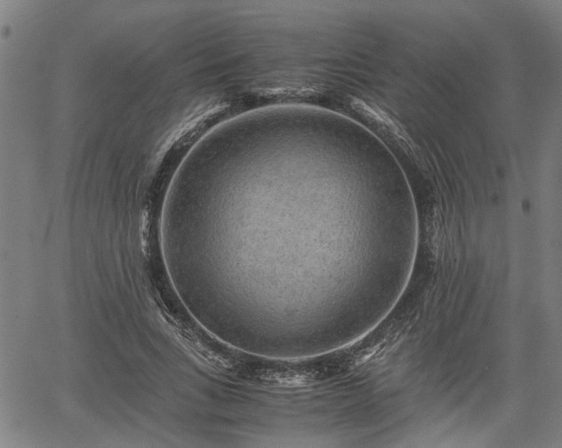 X0000062170735200512161250