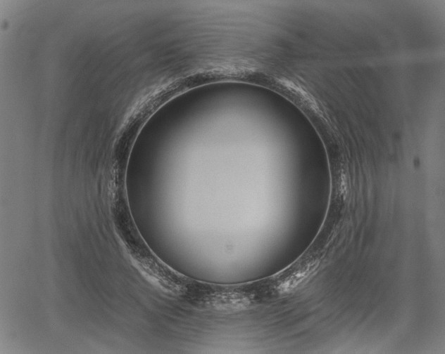 X0000062170736200512161250