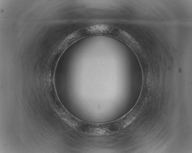 X0000062170737200512161250