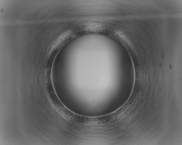 X0000062170738200512161250