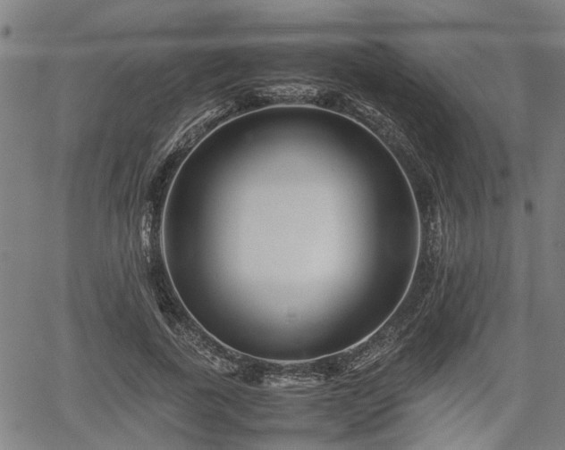 X0000062170739200512161250