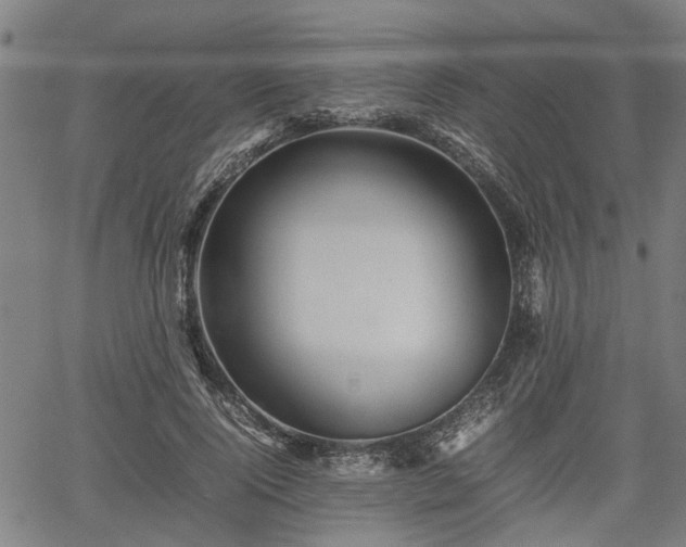 X0000062170740200512161250