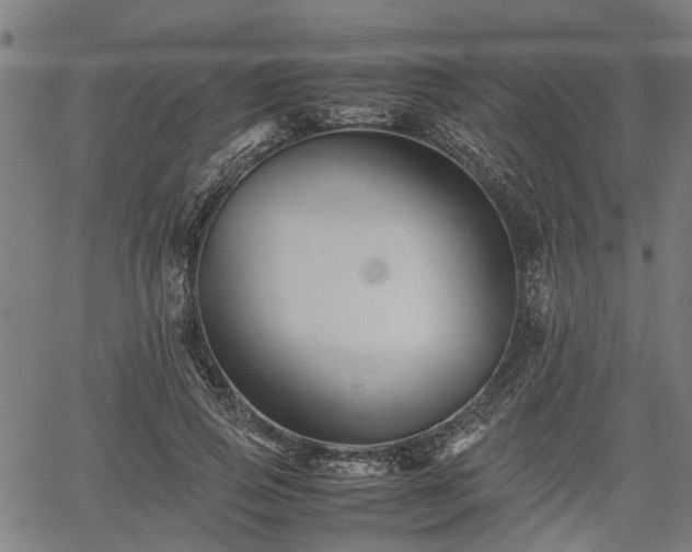 X0000062170741200512161250