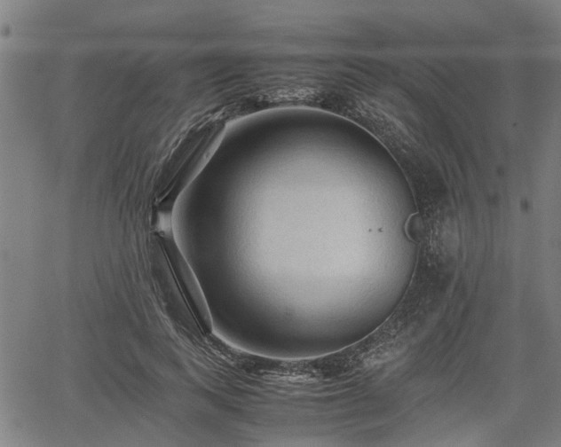 X0000062170743200512161250