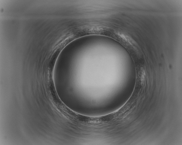 X0000062170744200512161251